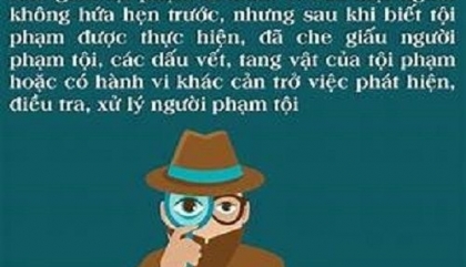 TRÁCH NHIỆM HÌNH SỰ CỦA TỘI CHE GIẤU TỘI PHẠM THEO QUY ĐỊNH CỦA PHÁP LUẬT HIỆN HÀNH